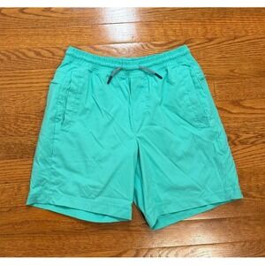 Birddogs Swim Trunks Shorts Mens Small 6.5" Teal Blue Green‎ Lined Athletic Surf